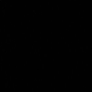 Meet your Posher, Mia